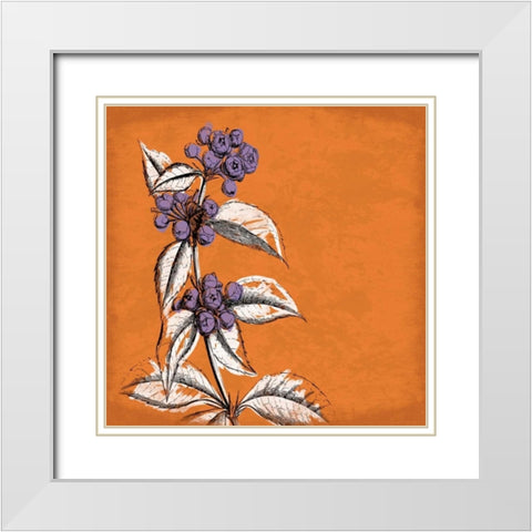 Flowers White Modern Wood Framed Art Print with Double Matting by Grey, Jace