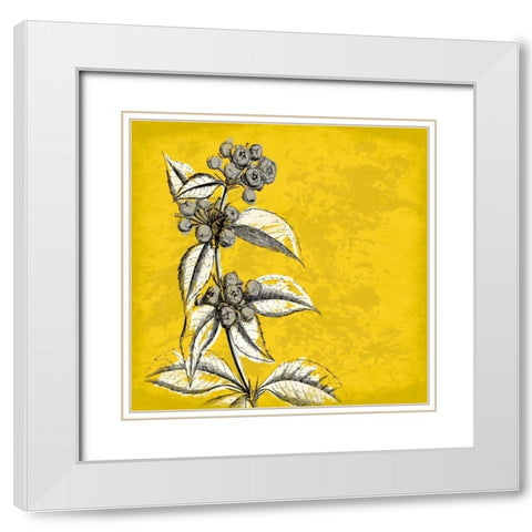 Flowers 3 White Modern Wood Framed Art Print with Double Matting by Grey, Jace