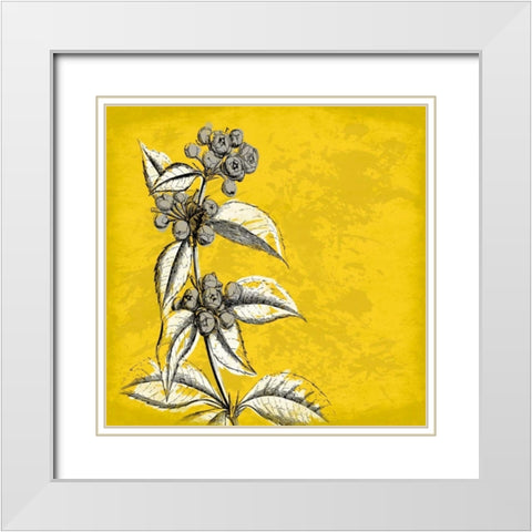 Flowers 3 White Modern Wood Framed Art Print with Double Matting by Grey, Jace