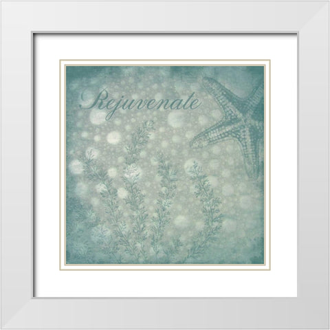 Rejuvenate bubbles White Modern Wood Framed Art Print with Double Matting by Grey, Jace