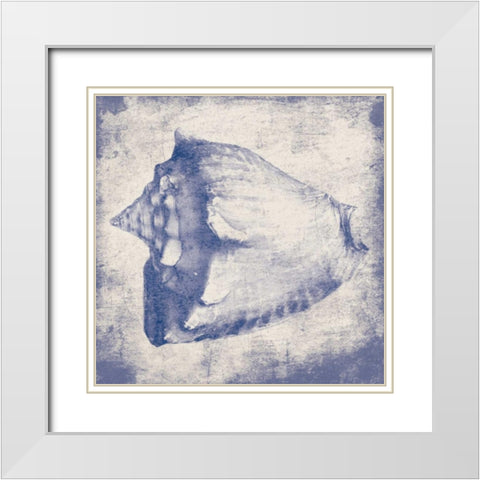 Conch shell White Modern Wood Framed Art Print with Double Matting by Grey, Jace