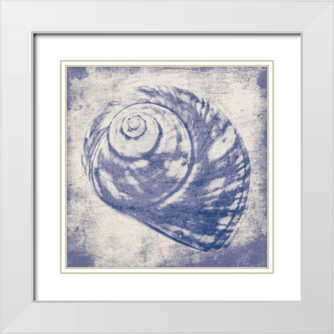 shell White Modern Wood Framed Art Print with Double Matting by Grey, Jace