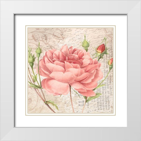 flowers White Modern Wood Framed Art Print with Double Matting by Grey, Jace