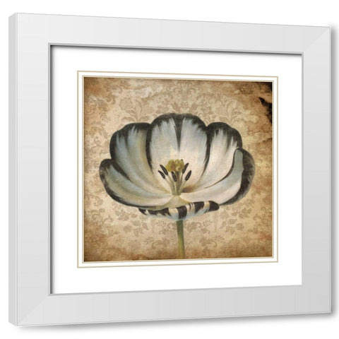Flower 2 White Modern Wood Framed Art Print with Double Matting by Grey, Jace