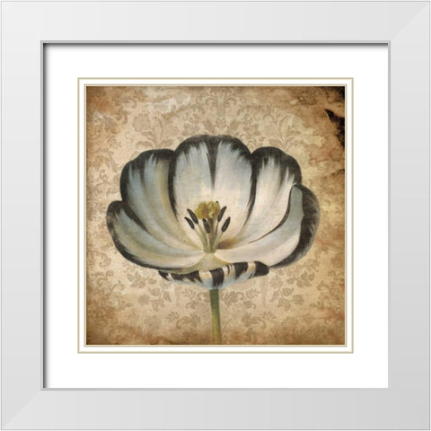 Flower 2 White Modern Wood Framed Art Print with Double Matting by Grey, Jace