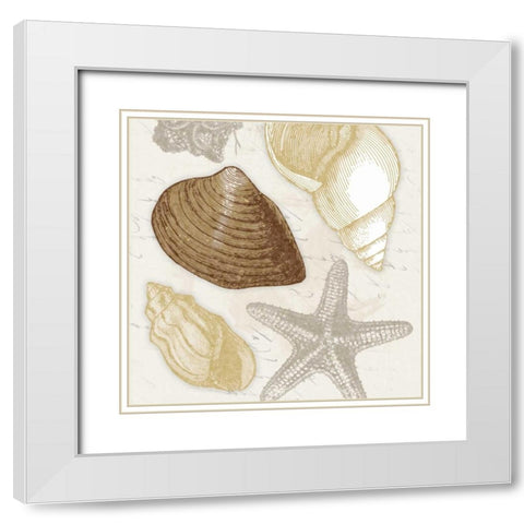 Shells 3 White Modern Wood Framed Art Print with Double Matting by Grey, Jace