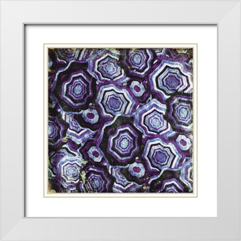Mix Of Purple Chips White Modern Wood Framed Art Print with Double Matting by Grey, Jace