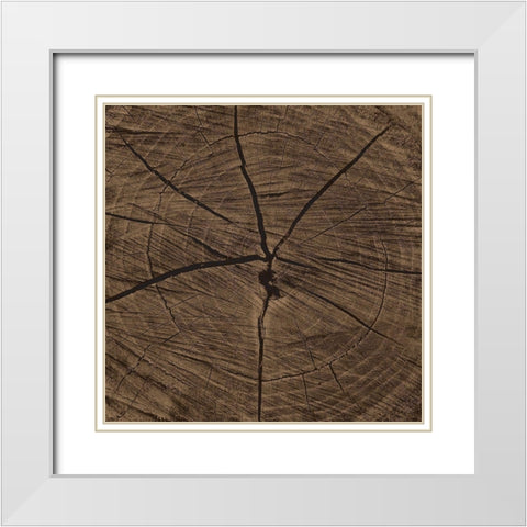 Dark Rings White Modern Wood Framed Art Print with Double Matting by Grey, Jace