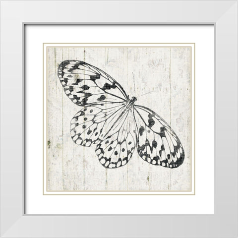 Butterfly Board White Modern Wood Framed Art Print with Double Matting by Grey, Jace