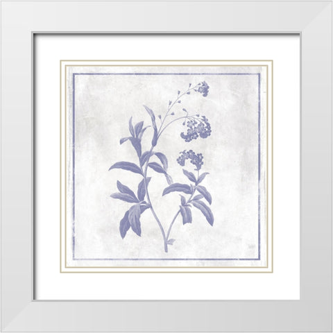 Monochrome Floral Lavender 2 White Modern Wood Framed Art Print with Double Matting by Grey, Jace