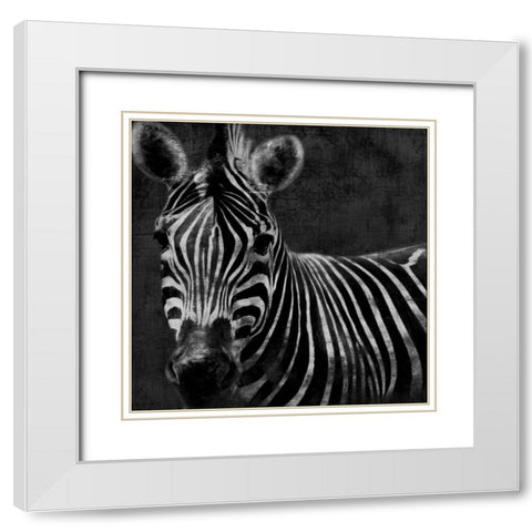 Zebra Black And White White Modern Wood Framed Art Print with Double Matting by Grey, Jace