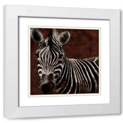 Zebra White Modern Wood Framed Art Print with Double Matting by Grey, Jace
