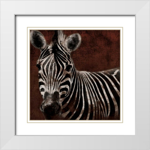 Zebra White Modern Wood Framed Art Print with Double Matting by Grey, Jace