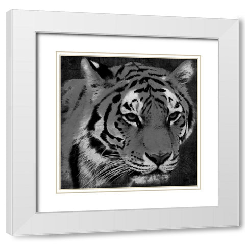 Tiger Black And White White Modern Wood Framed Art Print with Double Matting by Grey, Jace