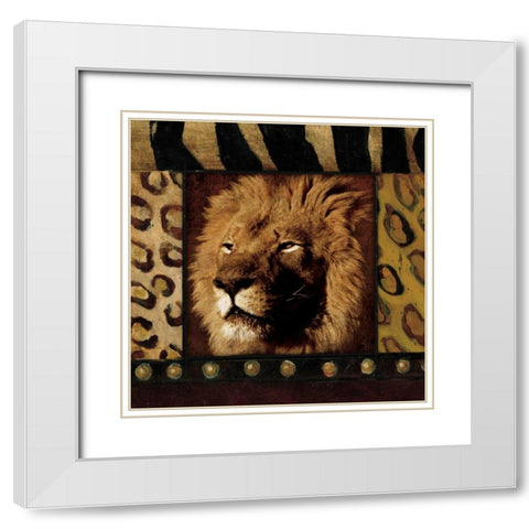 Lion Bordered White Modern Wood Framed Art Print with Double Matting by Grey, Jace