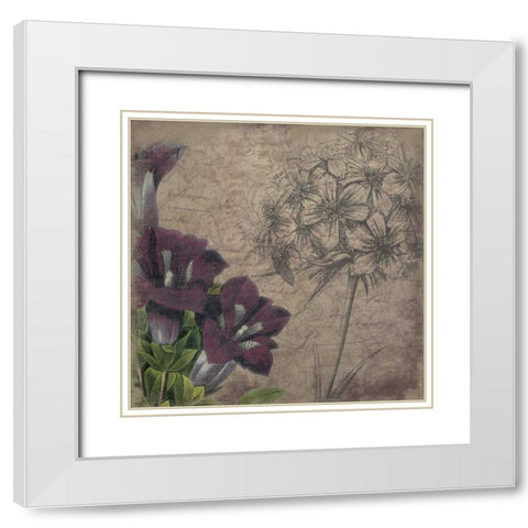 Floral outline1 White Modern Wood Framed Art Print with Double Matting by Grey, Jace