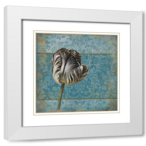 Single flower 2 White Modern Wood Framed Art Print with Double Matting by Grey, Jace