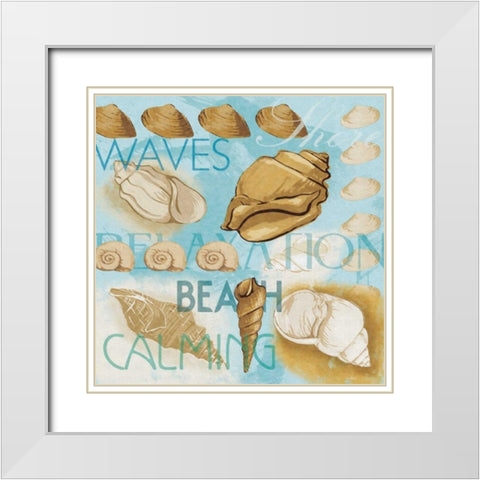 Collaged Shells Mate White Modern Wood Framed Art Print with Double Matting by Grey, Jace
