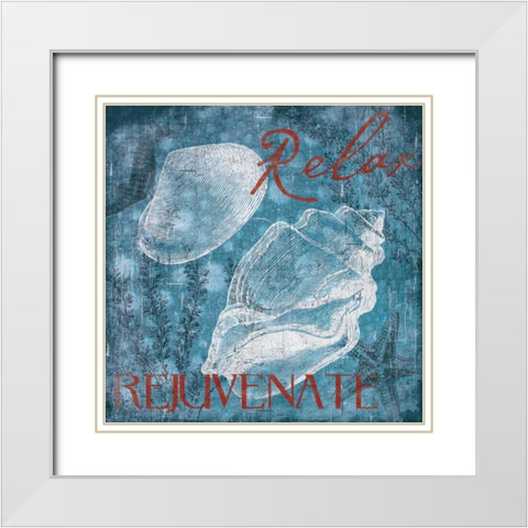 Shell Bubbles 1 White Modern Wood Framed Art Print with Double Matting by Grey, Jace