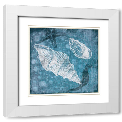 Shell Bubbles II White Modern Wood Framed Art Print with Double Matting by Grey, Jace