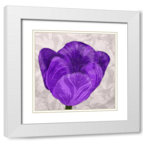Single Floral Mate White Modern Wood Framed Art Print with Double Matting by Grey, Jace
