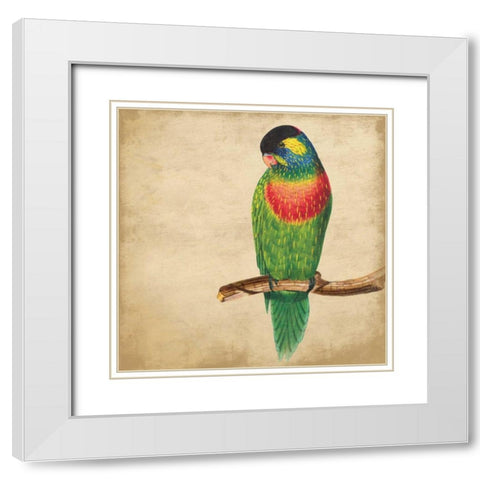 Tropical Bird White Modern Wood Framed Art Print with Double Matting by Grey, Jace