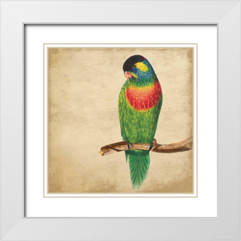 Tropical Bird White Modern Wood Framed Art Print with Double Matting by Grey, Jace