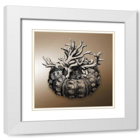 Nautical Sepia Mate White Modern Wood Framed Art Print with Double Matting by Grey, Jace