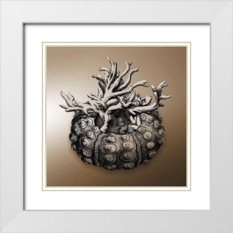 Nautical Sepia Mate White Modern Wood Framed Art Print with Double Matting by Grey, Jace