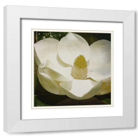 MAG Mate White Modern Wood Framed Art Print with Double Matting by Grey, Jace