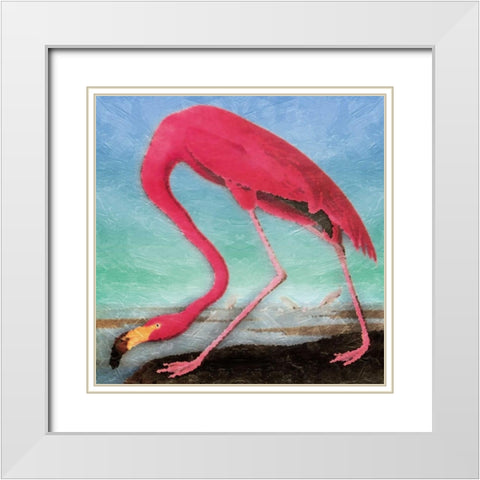 Flamingo White Modern Wood Framed Art Print with Double Matting by Grey, Jace