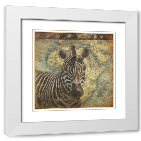 Zebra travel White Modern Wood Framed Art Print with Double Matting by Grey, Jace
