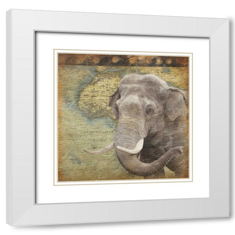 Elephant Travel White Modern Wood Framed Art Print with Double Matting by Grey, Jace