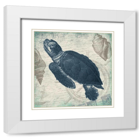 Turtle White Modern Wood Framed Art Print with Double Matting by Grey, Jace