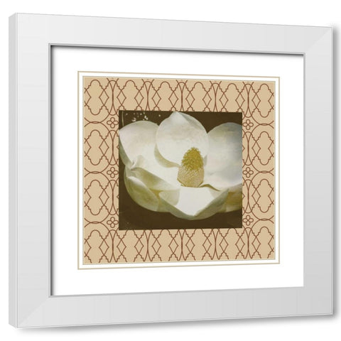 Brown floral border 2 White Modern Wood Framed Art Print with Double Matting by Grey, Jace