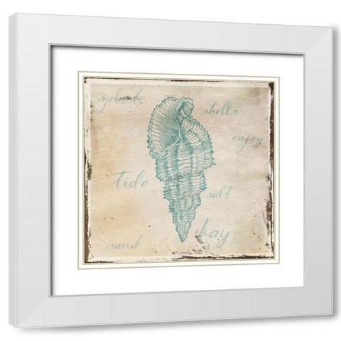 Stamped Shell Mate White Modern Wood Framed Art Print with Double Matting by Grey, Jace