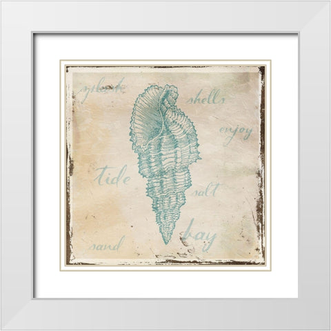 Stamped Shell Mate White Modern Wood Framed Art Print with Double Matting by Grey, Jace