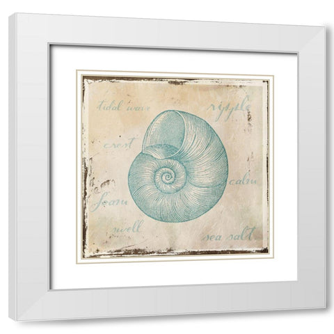 Stamped Shell Three White Modern Wood Framed Art Print with Double Matting by Grey, Jace