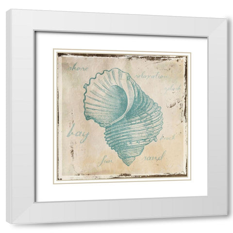 Stamped Shell Four White Modern Wood Framed Art Print with Double Matting by Grey, Jace