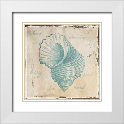 Stamped Shell Four White Modern Wood Framed Art Print with Double Matting by Grey, Jace