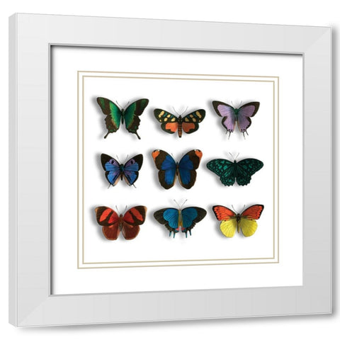Floating Butterflies Mate White Modern Wood Framed Art Print with Double Matting by Grey, Jace