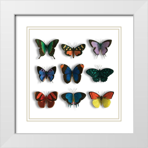 Floating Butterflies Mate White Modern Wood Framed Art Print with Double Matting by Grey, Jace