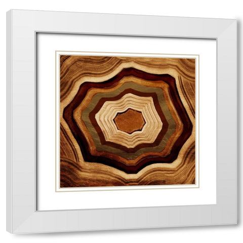 Agate Rings White Modern Wood Framed Art Print with Double Matting by Grey, Jace
