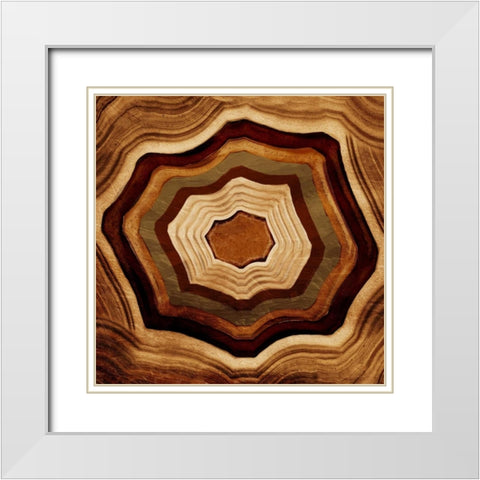 Agate Rings White Modern Wood Framed Art Print with Double Matting by Grey, Jace