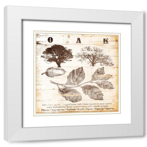 All About Oak White Modern Wood Framed Art Print with Double Matting by Grey, Jace