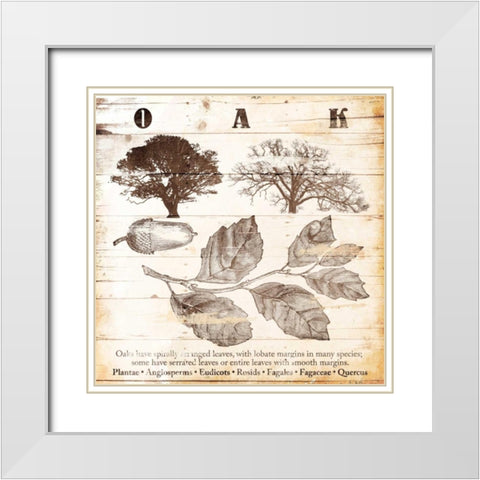All About Oak White Modern Wood Framed Art Print with Double Matting by Grey, Jace