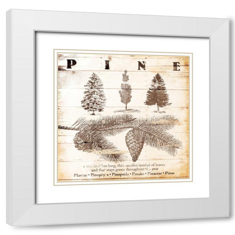 All About Pine White Modern Wood Framed Art Print with Double Matting by Grey, Jace