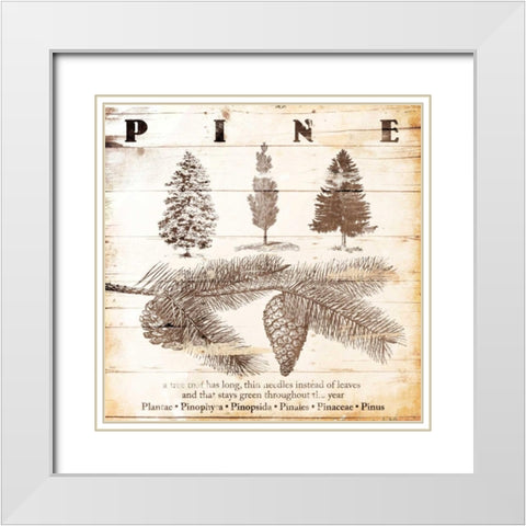 All About Pine White Modern Wood Framed Art Print with Double Matting by Grey, Jace