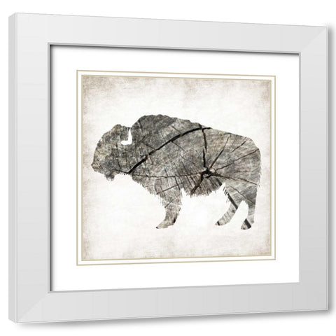 Buffalo Rings Mineral White Modern Wood Framed Art Print with Double Matting by Grey, Jace