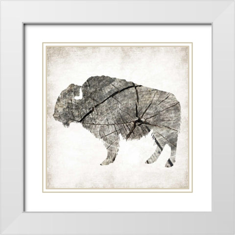 Buffalo Rings Mineral White Modern Wood Framed Art Print with Double Matting by Grey, Jace
